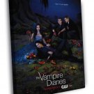 The Vampire Diaries TV Series Show WALL  20x16 inch FRAMED CANVAS PRINT