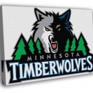 Minnesota Timberwolves Logo Sport Art WALL  20x16 inch FRAMED CANVAS PRINT