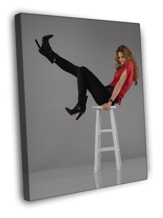 Castle Stana Katic TV Series Beautiful WALL  20x16 inch FRAMED CANVAS PRINT
