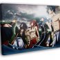 Fairy Tail Characters Anime Manga Art  20x16 inch FRAMED CANVAS WALL PRINT