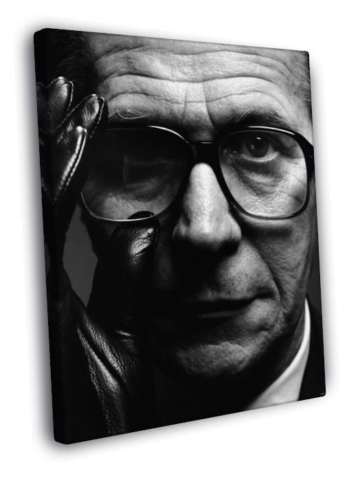 Gary Oldman Amazing Cool Portrait BW Actor WALL  20x16 inch FRAMED CANVAS PRINT