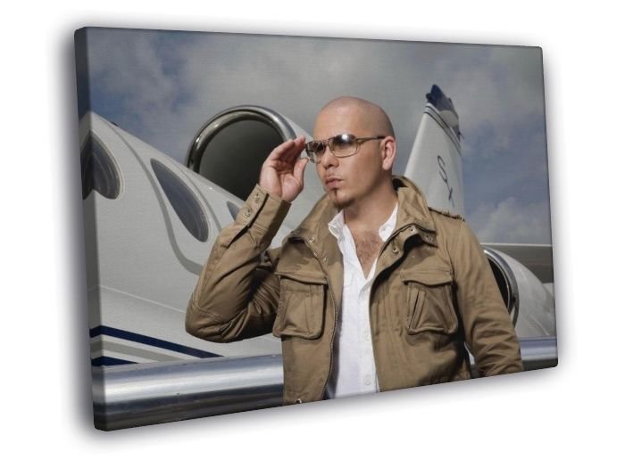 Pitbull Plane Sunglass Hip Hop Pop Music Rare  20x16 inch FRAMED CANVAS WALL PRINT
