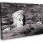 Marilyn Monroe Beautiful Classic Actress Rare WALL  20x16 inch FRAMED CANVAS PRINT