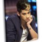 Zayn Malik Handsome Cute Hot Music Singer  20x16 inch FRAMED CANVAS WALL PRINT