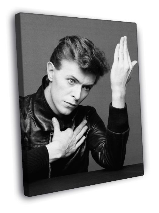 David Bowie Portrait Rock Music Singer BW  20x16 inch FRAMED CANVAS WALL PRINT