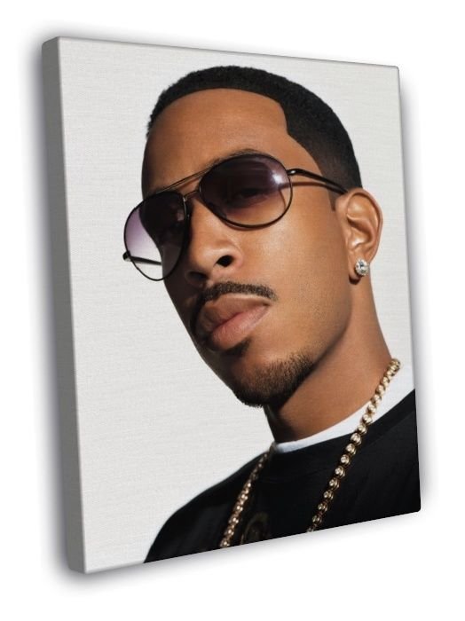 Ludacris Awesome Portrait Rapper Hip-Hop Music Rap  20x16 inch FRAMED CANVAS WALL PRINT