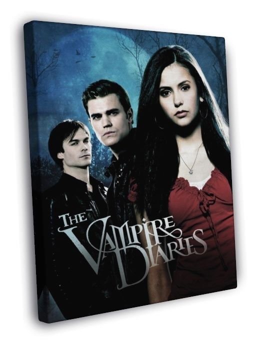 The Vampire Diaries Awesome Cast Characters TV Series  20x16 inch FRAMED CANVAS WALL PRINT