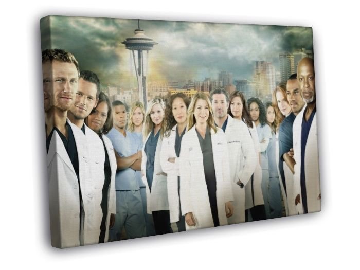 Grey's Anatomy Characters Cast TV Series WALL  20x16 inch FRAMED CANVAS PRINT