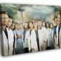 Grey's Anatomy Characters Cast TV Series WALL  20x16 inch FRAMED CANVAS PRINT