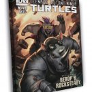 Bebop and Rocksteady Teenage Mutant Ninja Turtles TMNT WALL  20x16 inch FRAMED CANVAS PRINT