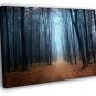 Forest Trees Autumn Fall Beautiful Nature 20x16 inch FRAMED CANVAS WALL PRINT
