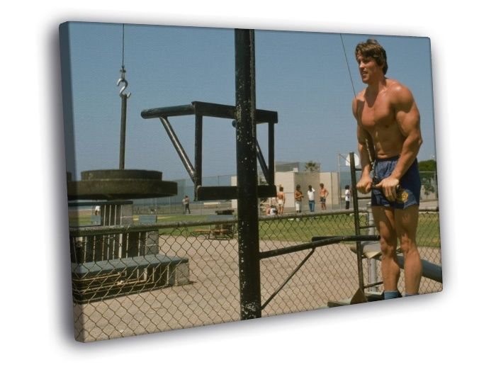 Arnold Schwarzenegger Bodybuilding Workout  20x16 inch FRAMED CANVAS WALL PRINT