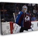 Semyon Varlamov Colorado Avalanche Hockey  20x16 inch FRAMED CANVAS WALL PRINT