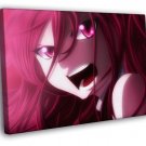 Erza Scarlet Fairy Tail Beautiful Anime Manga  20x16 inch FRAMED CANVAS WALL PRINT