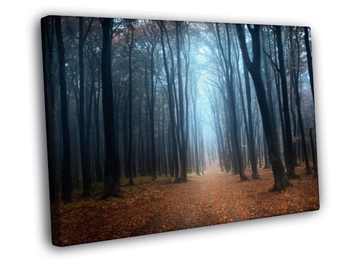 Forest Trees Autumn Fall Beautiful Nature  20x16 inch FRAMED CANVAS WALL PRINT