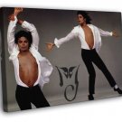 Michael Jackson MJ Dancing Body Shirt Handsome WALL  20x16 inch FRAMED CANVAS PRINT