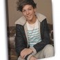 Louis Tomlinson Pop Singer Music WALL 20x16 inch FRAMED CANVAS PRINT