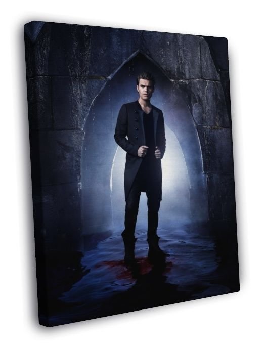 The Vampire Diaries Stefan Salvatore TV Series  20x16 inch FRAMED CANVAS WALL PRINT
