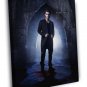 The Vampire Diaries Stefan Salvatore TV Series  20x16 inch FRAMED CANVAS WALL PRINT