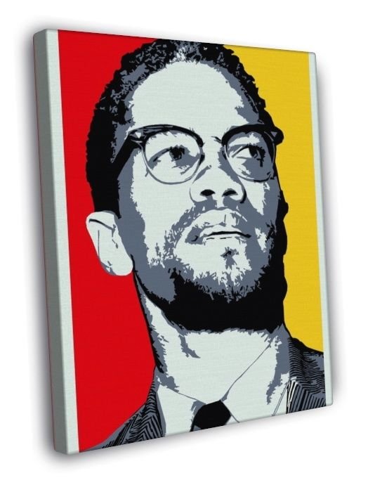 Malcolm X Human Rights Activist Portrait Art WALL  20x16 inch FRAMED CANVAS PRINT