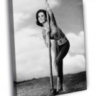 Natalie Wood Old Retro Vintage Actress BW  20x16 inch FRAMED CANVAS WALL PRINT