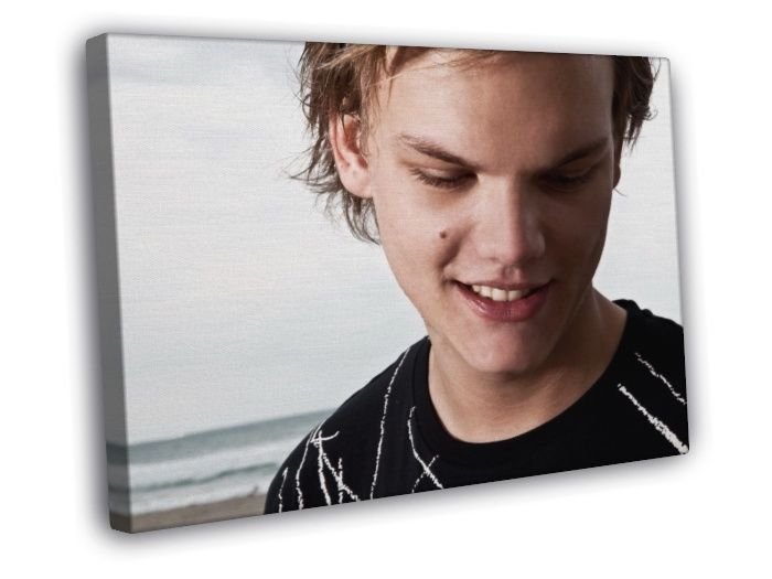 Avicii Amazing Portrait Electronic Dance Music EDM DJ WALL  20x16 inch FRAMED CANVAS PRINT