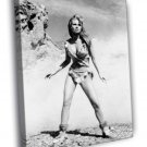 Raquel Welch One Million Years B.C. Retro BW WALL  20x16 inch FRAMED CANVAS PRINT