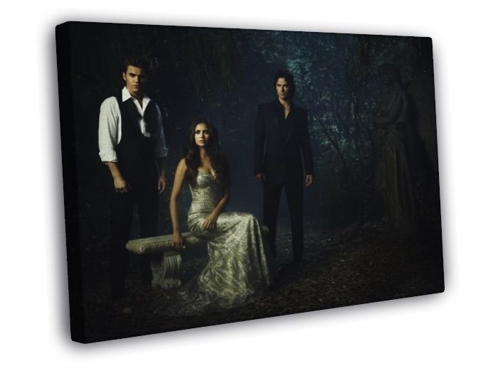 The Vampire Diaries Cast Characters Series  20x16 inch FRAMED CANVAS WALL PRINT