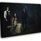 The Vampire Diaries Cast Characters Series  20x16 inch FRAMED CANVAS WALL PRINT