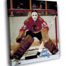 Tony Esposito Chicago Blackhawks Goaltender WALL  20x16 inch FRAMED CANVAS PRINT