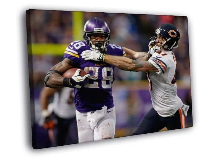 Adrian Peterson Minnesota Vikings WALL  20x16 inch FRAMED CANVAS PRINT