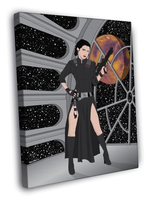 Princess Leia Organa Star Wars Dark SIde Art WALL 20x16 inch FRAMED