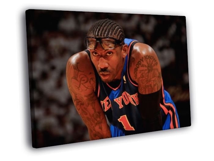 Amare Stoudemire New York Knicks Amar'e WALL  20x16 inch FRAMED CANVAS PRINT