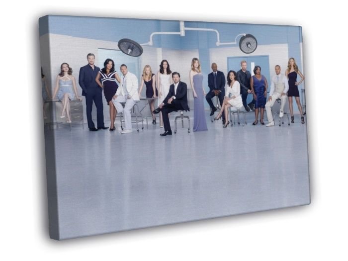 Grey's Anatomy Series Show WALL  20x16 inch FRAMED CANVAS PRINT