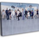 Grey's Anatomy Series Show WALL  20x16 inch FRAMED CANVAS PRINT