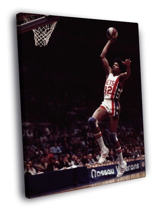 Julius Erving Dr J New York Nets Retro Vintage WALL  20x16 inch FRAMED CANVAS PRINT