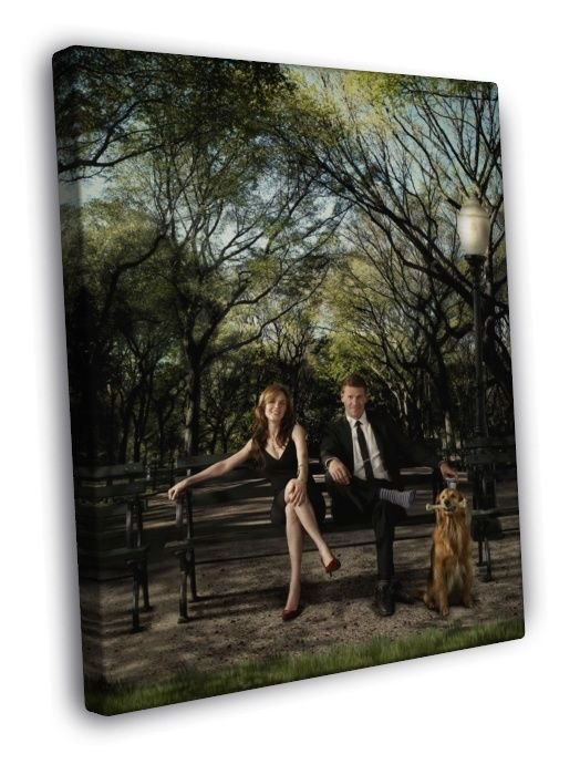 Bones TV Series Awesome  20x16 inch FRAMED CANVAS WALL PRINT