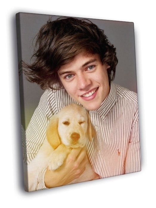 One Direction Harry Styles Puppy Cute Rare  20x16 inch FRAMED CANVAS WALL PRINT