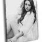 Mila Kunis Beautiful Actress BW Rare 20x16 inch FRAMED CANVAS WALL PRINT
