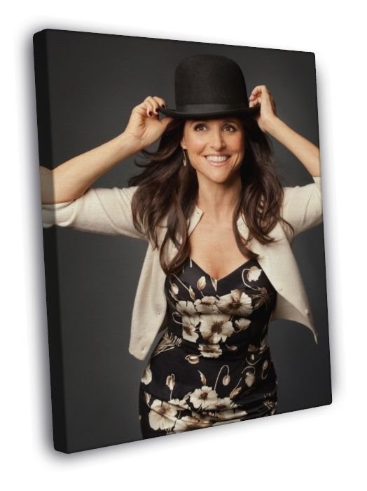Julia Louis-Dreyfus Smile Beautiful Actress  20x16 inch FRAMED CANVAS WALL PRINT