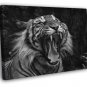 Tiger Roar Wild Cat Nature Beautiful Awesome BW 20x16 inch FRAMED CANVAS WALL PRINT