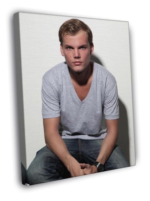 Avicii Handsome Electronic Dance Music EDM DJ Music  20x16 inch FRAMED CANVAS WALL PRINT