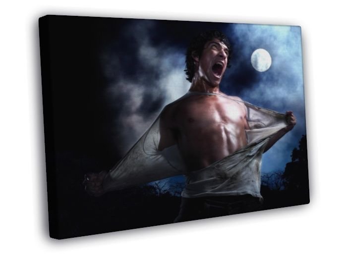 Scott McCall Tyler Posey Moon Epic Teen Wolf Series WALL  20x16 inch FRAMED CANVAS PRINT
