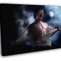 Scott McCall Tyler Posey Moon Epic Teen Wolf Series WALL 20x16 inch FRAMED CANVAS PRINT