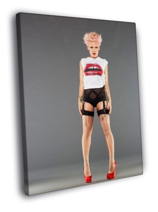 Pink Hot Stocking Pop Rock Music Singer Rare  20x16 inch FRAMED CANVAS WALL PRINT