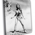 Raquel Welch One Million Years B.C. Retro BW  20x16 inch FRAMED CANVAS WALL PRINT