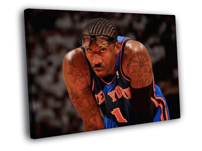 Amare Stoudemire New York Knicks Amar'e WALL  20x16 inch FRAMED CANVAS PRINT