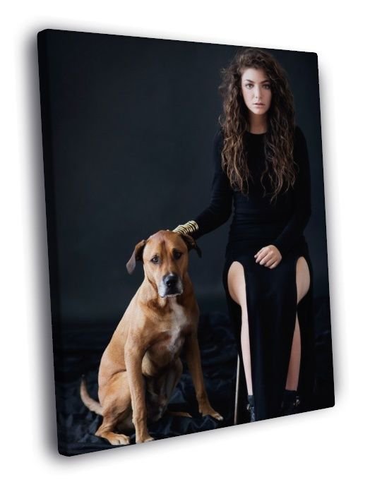 Lorde Dog Indie Pop Singer Music Rare WALL  20x16 inch FRAMED CANVAS PRINT