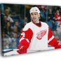 Chris Chelios Detroit Red Wings Hockey Sport 20x16 inch FRAMED CANVAS WALL PRINT