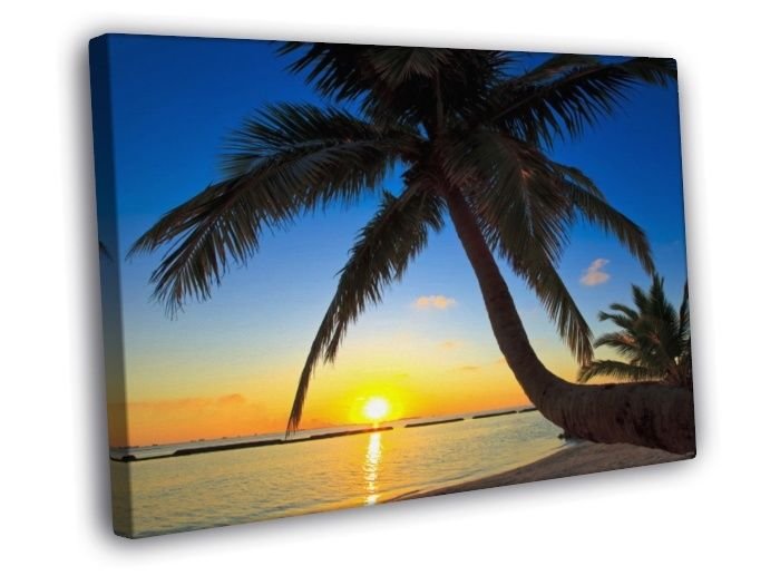 Beautiful Palm Trees Sunset Beach Nature WALL  20x16 inch FRAMED CANVAS PRINT